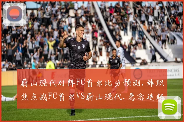 蔚山现代对阵FC首尔比分预测,韩职焦点战FC首尔VS蔚山现代,悬念迭起