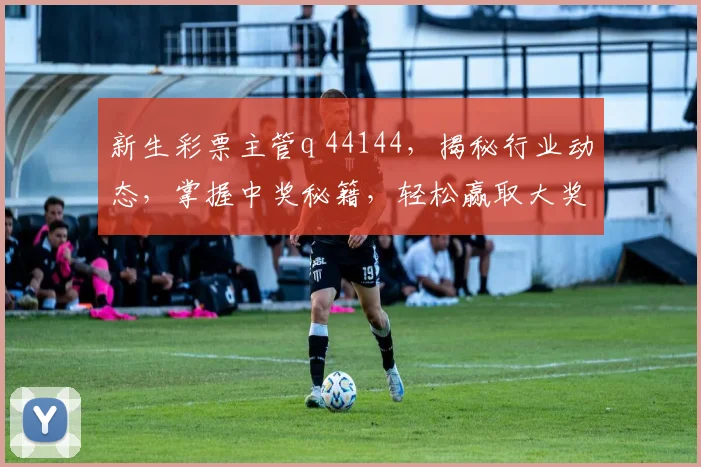新生彩票主管q 44144，揭秘行业动态，掌握中奖秘籍，轻松赢取大奖